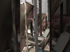 PP双螺旋4つのうち2つ